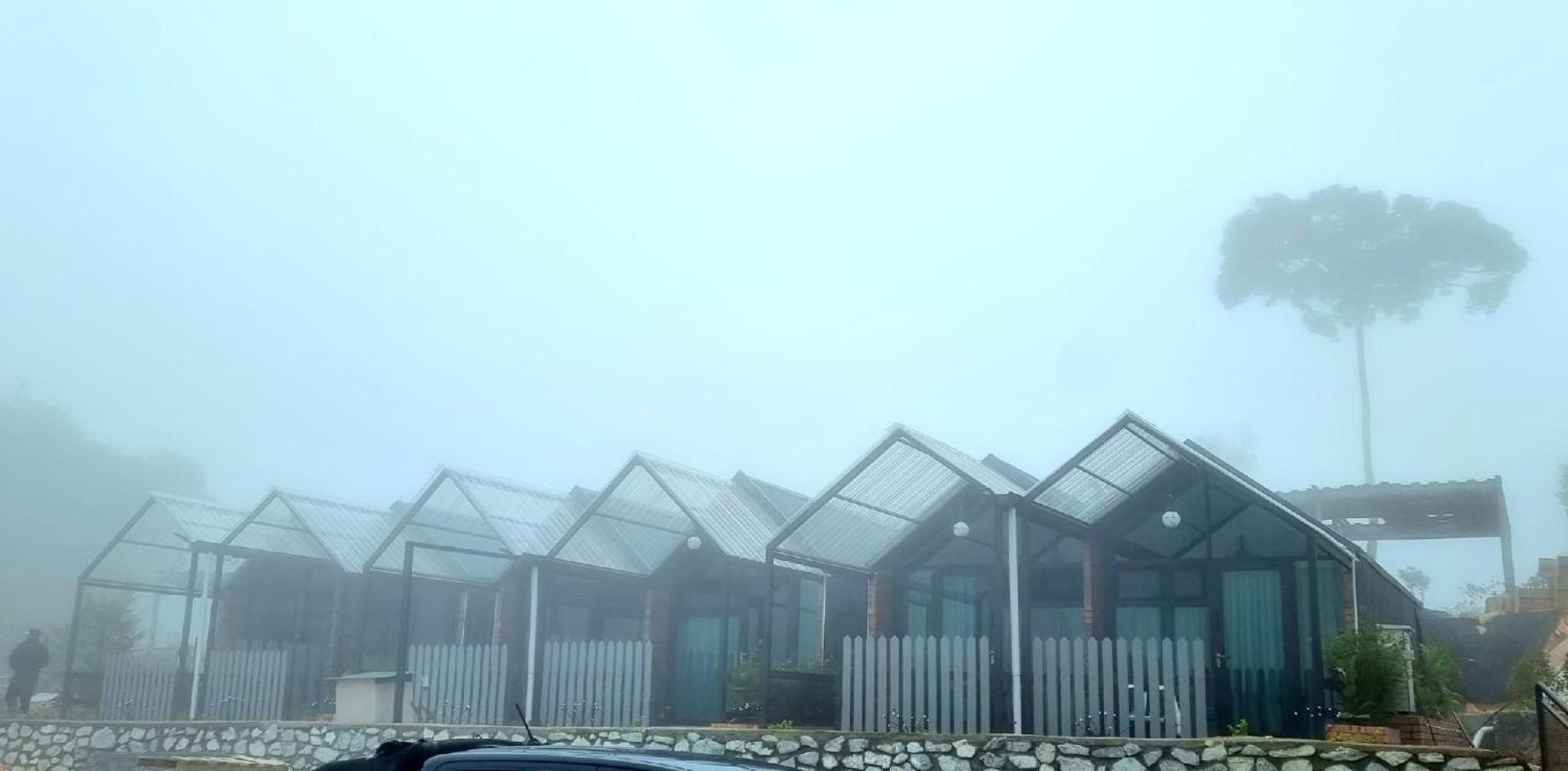 Campod @ * Cameron Highlands